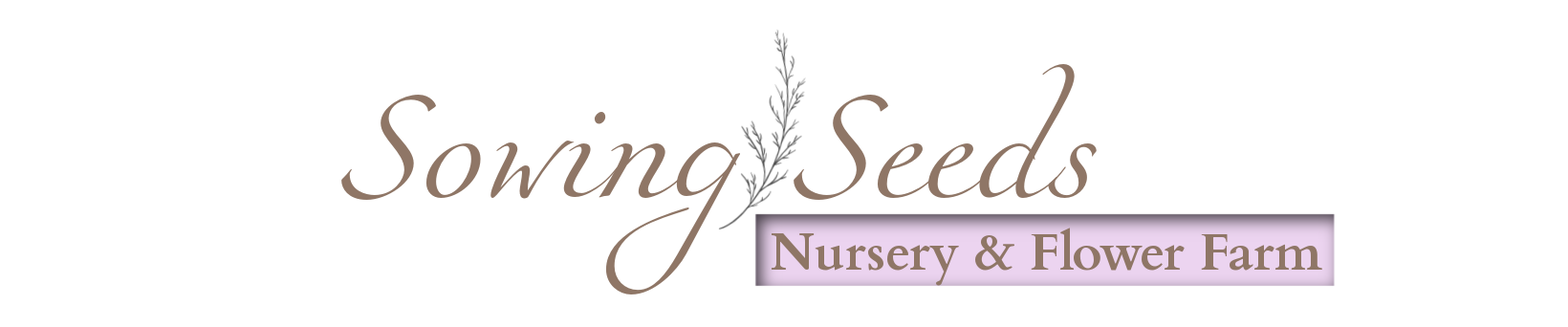 Sowing Seeds Nursery